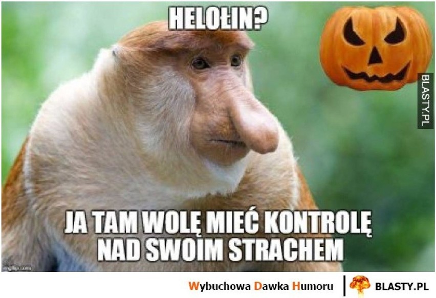 Najśmieszniejsze memy o Halloween podbijają Internet. Zobacz i uśmiechnij się razem z nami! 