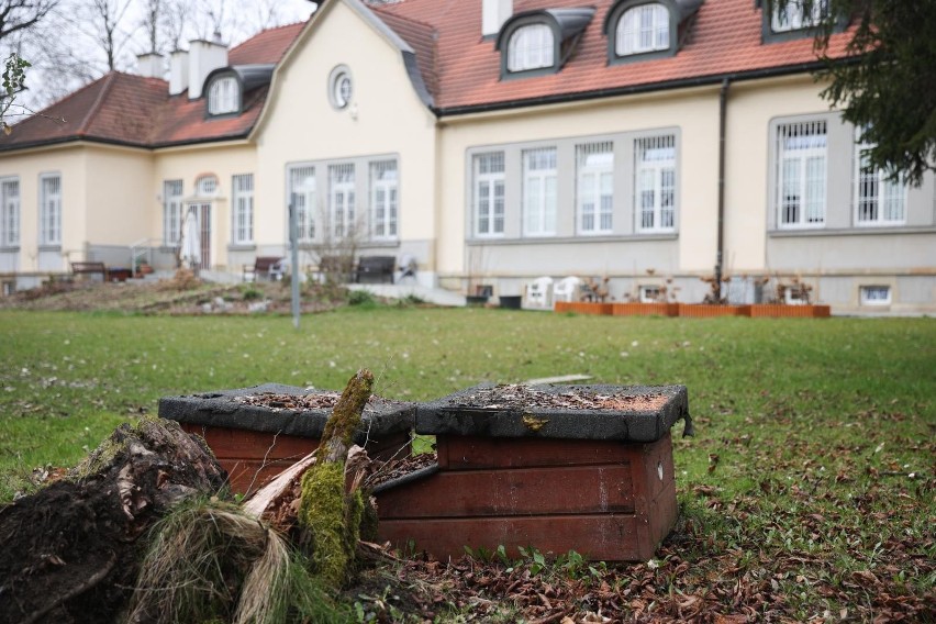 W Szpitalu Klinicznym im. dr. Józefa Babińskiego SPZOZ w...