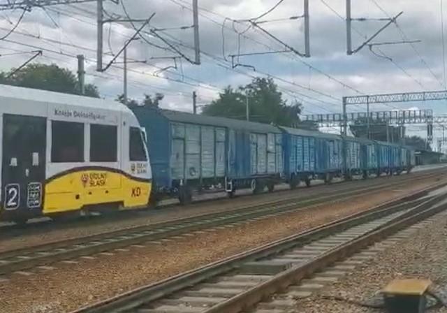Przyczepki do pociągów Kolei Dolnośląskich będą przystosowane do przewozu rowerów