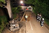 Śmiertelny wypadek w Sulicicach. 3 osoby, w tym dziecko, spłonęły w samochodzie koło Pucka [ZDJĘCIA]