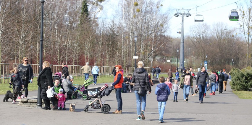 Park Śląski jest w niedzielę oblegany. Nic dziwnego, bo to...