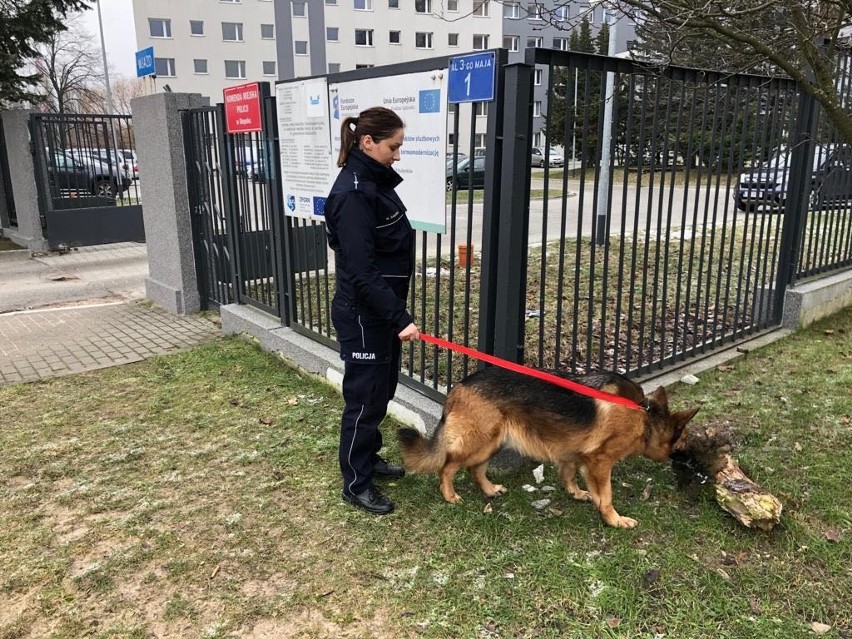 Znaleziona przez policjantów 5-8 letnia suczka w Słupsku...