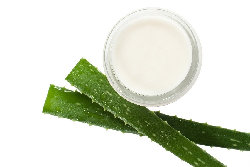 Aloes to znany surowiec kosmetyczny, wykorzystywany m.in. do...