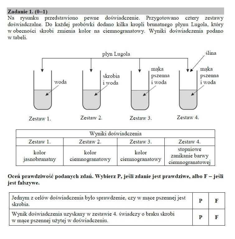 Egzamin gimnazjalny 2019 PRZYRODA. Odpowiedzi i arkusz pytań CKE - część matematyczno-przyrodnicza w serwisie EDUKACJA. Co było? ZADANIA