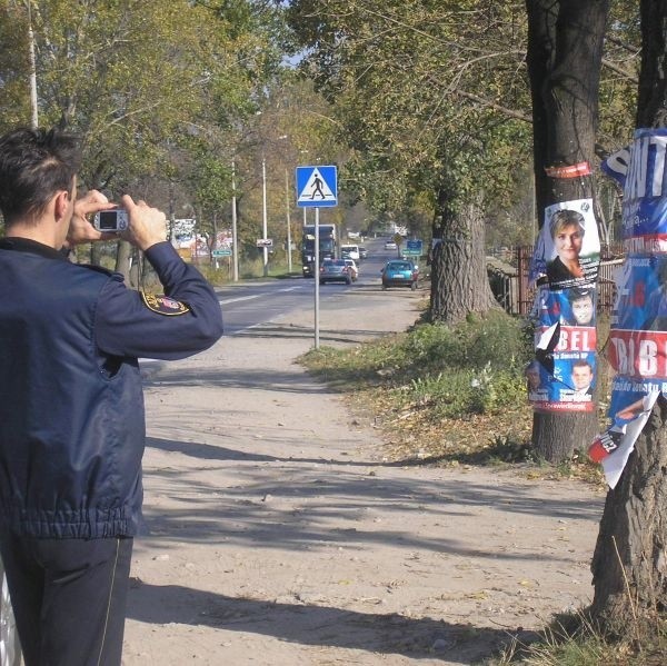 We wtorek strażnicy miejscy fotografowali między innymi afisze wiszące na drzewach przy ulicy Kozienickiej w Radomiu.