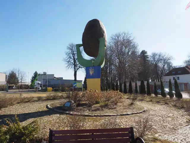 Pomnik ziemniaka w Biesiekierzu zmienił barwy na ukraińskie. To — jak mówi wójt Biesiekierza — symboliczny znak solidarności z walczącą o wolność Ukrainą.