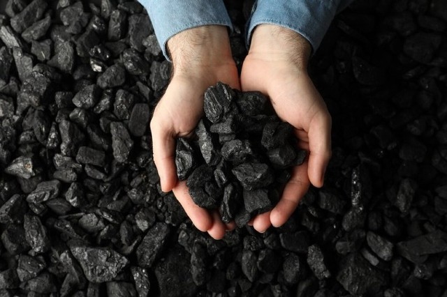 Polacy będą mogli kupić pół ton węgla.