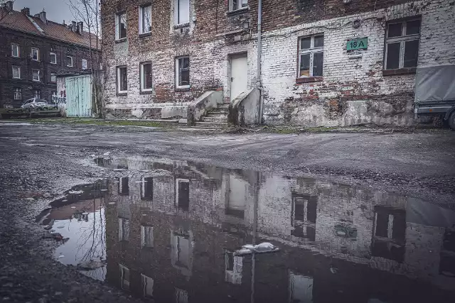 Na ulicy Adolfa Piątka w bytomskiej dzielnicy Szombierki mieszkańcy mierzą się z plagą szczurów. Kiedy problem gryzoni zostanie rozwiązany?