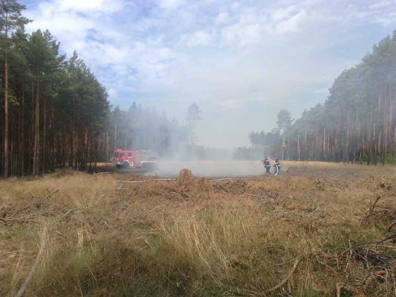 Akcja gaszenia pożaru w okolicach Sobina (gm. Polkowice)
