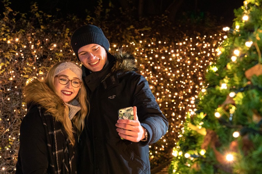 Magia świateł w Śląskim Ogrodzie Zoologicznym. Christmas Garden po raz pierwszy w Polsce