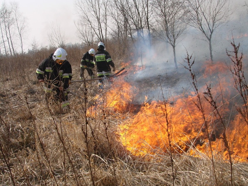 Pożar wybuchł natorfowisku w rejonie kolonii Wągródka
