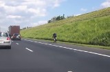 Poznań: Rowerzysta na A2! Kierowca nagrał film. Chwilę później rowerzysta został potrącony [WIDEO]