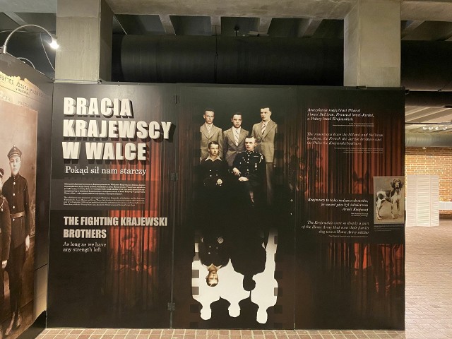 Wystawę o braciach Krajewskich oglądać można w Muzeum AK
