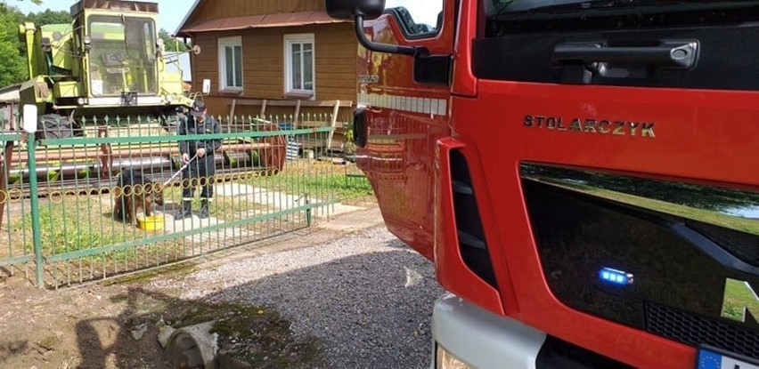Powiat krasnostawski: Pies zawisł na ogrodzeniu. Pomogli mu strażacy 