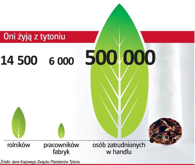 W Polsce jest wielu producentów tytoniu typu Burley. Oni najbardziej obawiają się zmian