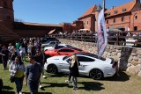 III Podlaskie Auto Cafe. Zamek w Tykocinie oblegały setki fanów motoryzacji. Zlot nietuzinkowych samochodów (22.04.2018) (zdjęcia, wideo)