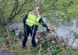 Trwają poszukiwania 3,5-letniego Kacpra. W akcji bierze udział pies tropiący