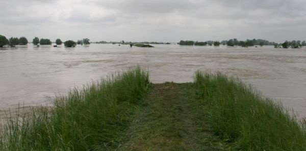 Przerwany wał przeciwpowodziowy w miejscowości Koćmierzów koło Sandomierza.