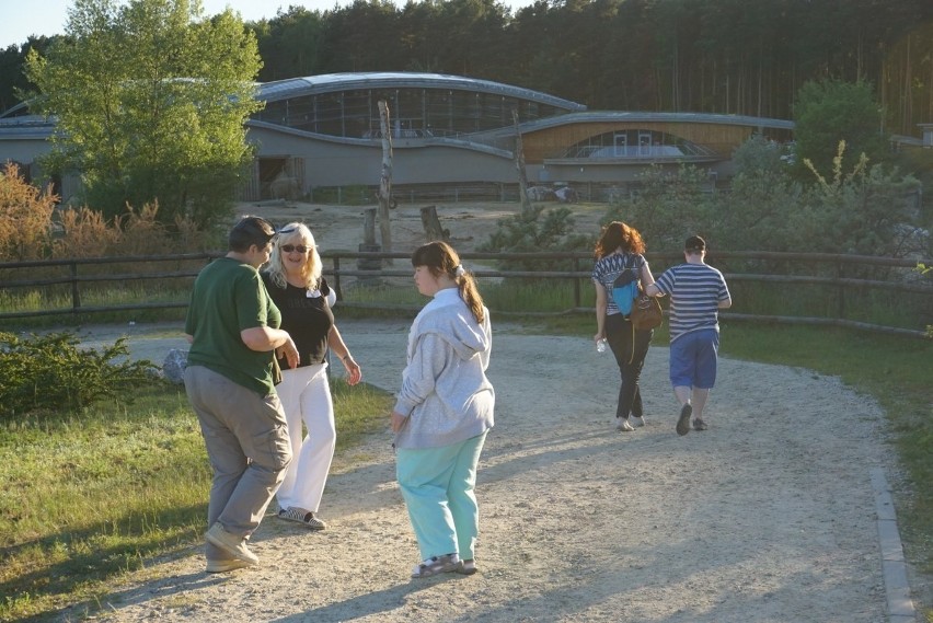 Poznań: Niezapomniana "Noc Marzeń" Nowym Zoo cieszyła dzieci...