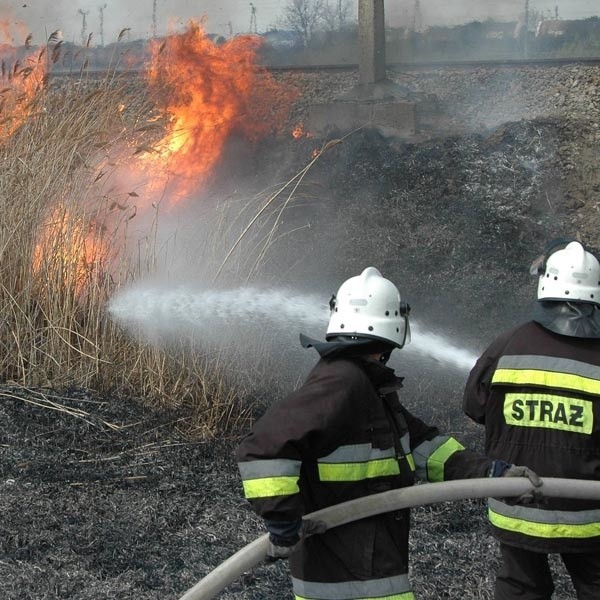 Jedna godzina walki z płonącą łąką o powierzchni około 25 hektarów kosztuje prawie 500 złotych.