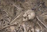 Szczątki 3 tysięcy osób ekshumowano przy ul. Cegielnianej w Przemyślu. Jednak w ziemi może być jeszcze ok. 2 tysięcy ciał 