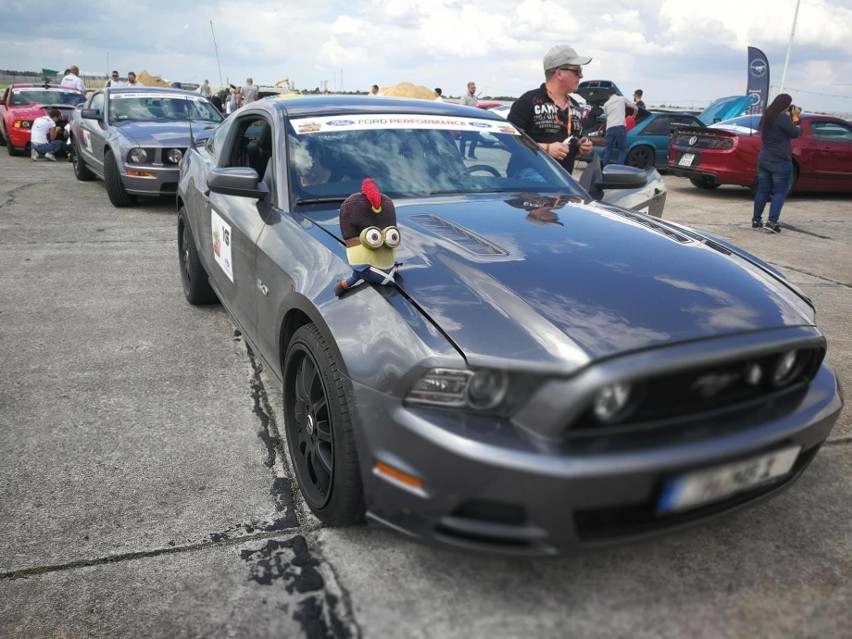 Finał Mustang Race 2018 w Szczecinie. W sobotę 50 super aut przejedzie ulicami miasta 