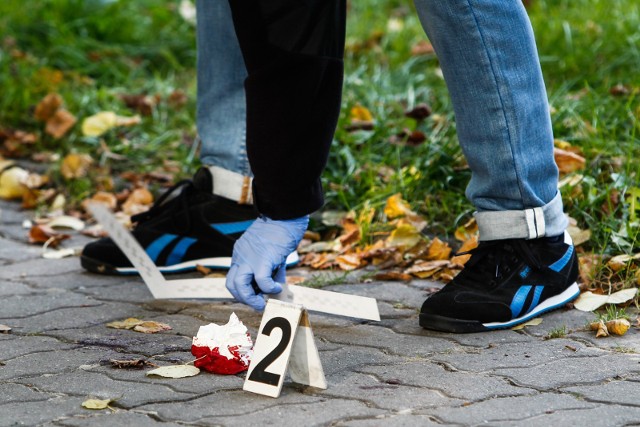 Do przestępstw różnego rodzaju w naszym regionie dochodzi niemal codziennie. Zobaczcie, które z nich odnotowano najczęściej i jaka jest ich wykrywalność. Dane pochodzą z końca 2016 roku. Szczyt motoryzacyjnej oszczędności? Koszt przejechania stu kilometrów tym autem to zaledwie... 8 złotych/TVN TURBO