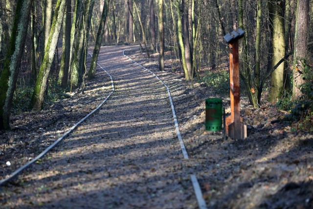 Las Borkowski, zdjęcia wykonane 24 listopada