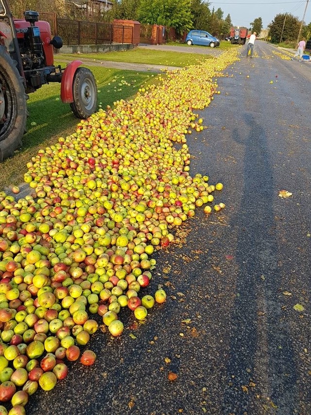 Jabłka wysypały się z samochodu transportowego w Chynowie.