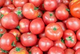 Tak tanich pomidorów krajowych dawno nie było! Ceny zaskakują klientów. Zobacz, ile zapłacisz za kilogram malinowych na bazarze