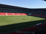 Stadion w Tychach ma nową murawę