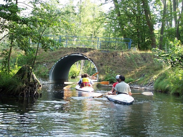 LUBUSKIE MAZURY