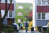Zielone budynki na Żubrzej, strzałki prowadzące do okna. Tak teraz wyglądają Popowice [ZDJĘCIA] 