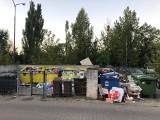Problemy z wywozem śmieci w Poznaniu. Mieszkańcy skarżą się, że Remondis nie przyjeżdża zgodnie z harmonogramem. Co na to GOAP?