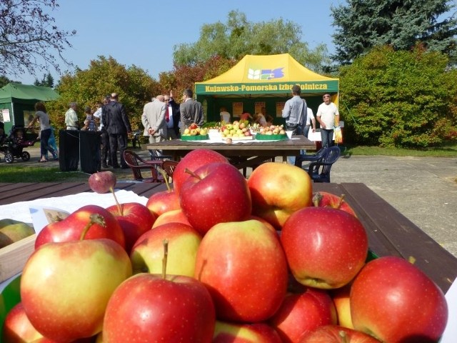 Podczas pikniku owocowo-warzywnego można było skosztować wielu smacznych sałatek i napić się soku np. z jabłek