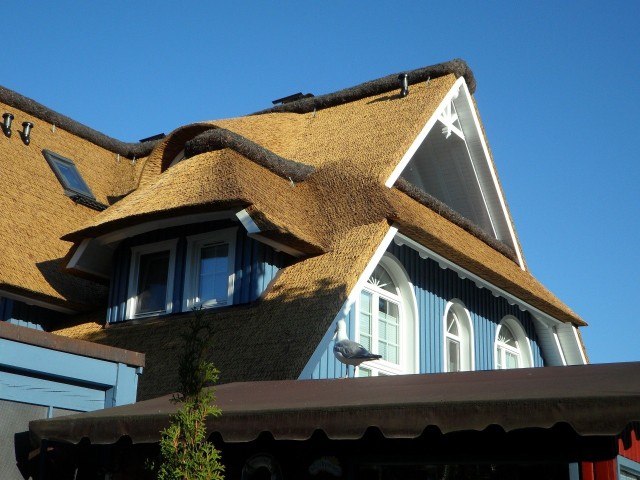 Pokrycie z trzciny dachowej nadaje domom niepowtarzalny charakter. Jednak nie do każdego budynku takie pokrycie będzie pasować.