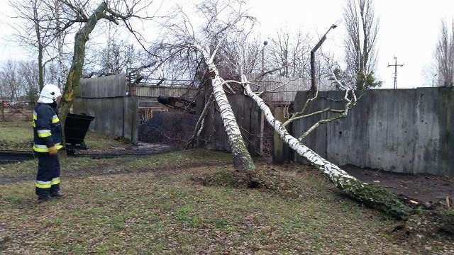 Powalone drzewa w unisawskim zakładzie Unamel uniemożliwiały podawanie opału do kotłowni