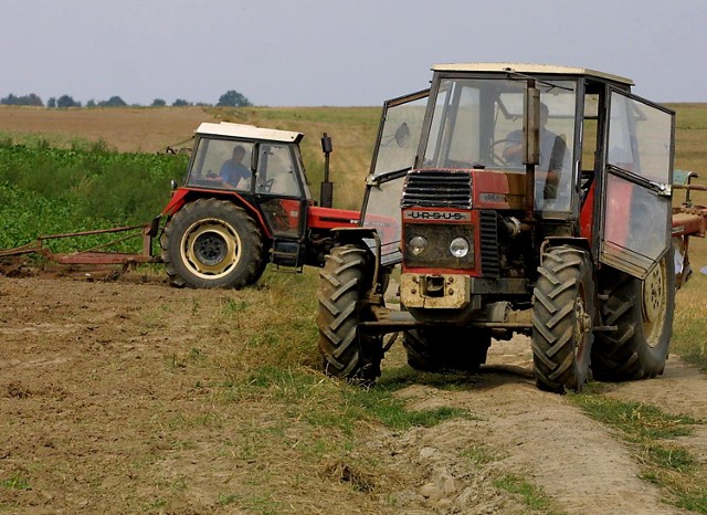 Rolnicy liczą, że pogoda w przyszłym roku będzie dla nich łaskawsza.