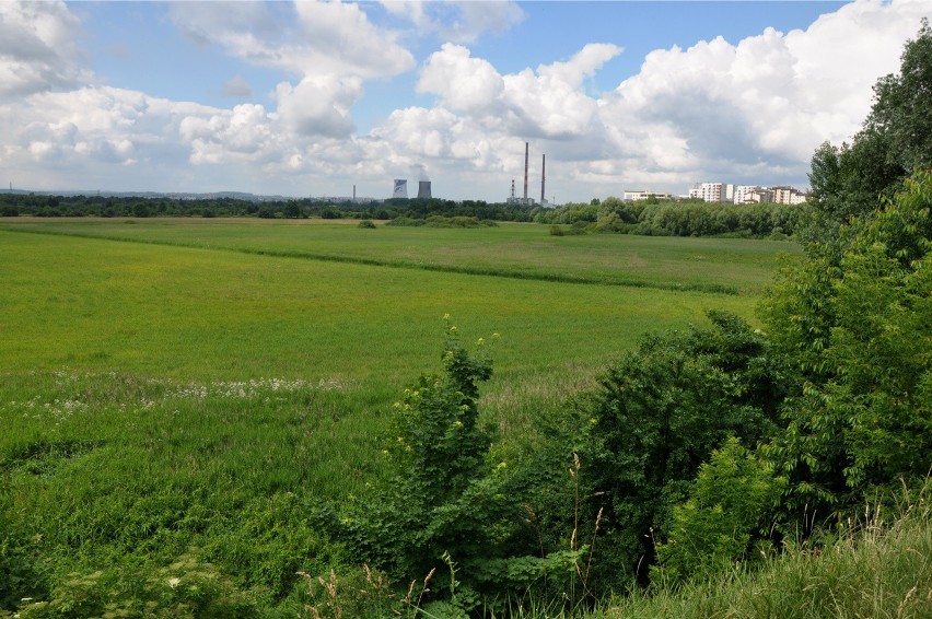 Obszar Natura 2000 zachwyca pięknem