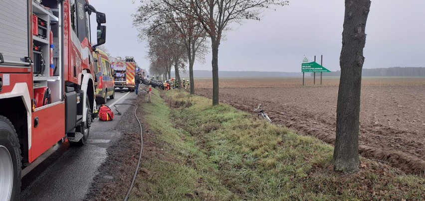 Zderzenie sześciu samochodów osobowych na DK11....