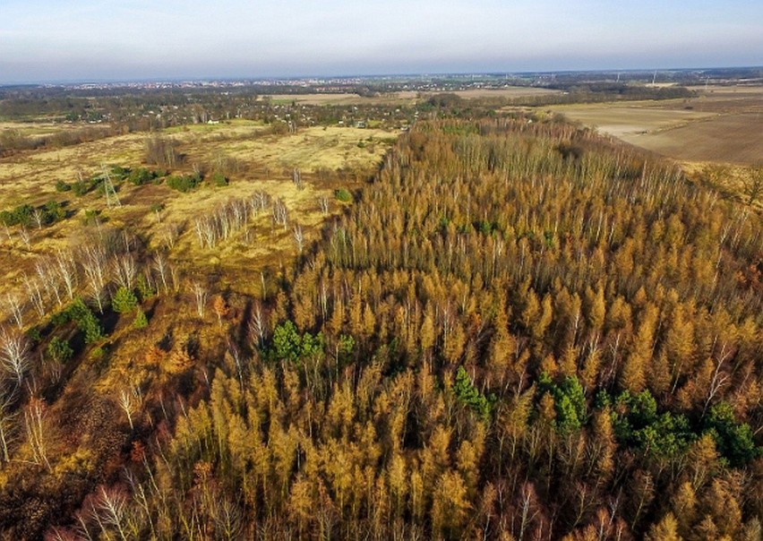 Wschodnia obwodnica do Długołęki. Czekają na decyzję i zaczynają budowę [ZDJĘCIA]