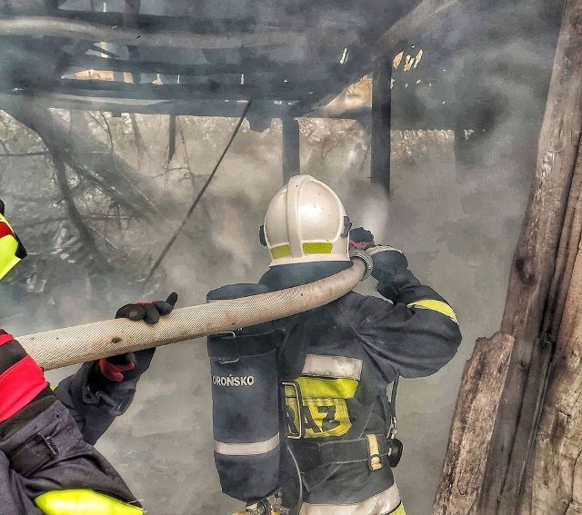 W akcji gaśniczej w Chronowie uczestniczyli także strażacy z jednostki OSP w Orońsku.