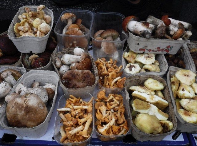 Świeże grzyby na targowisku Korej