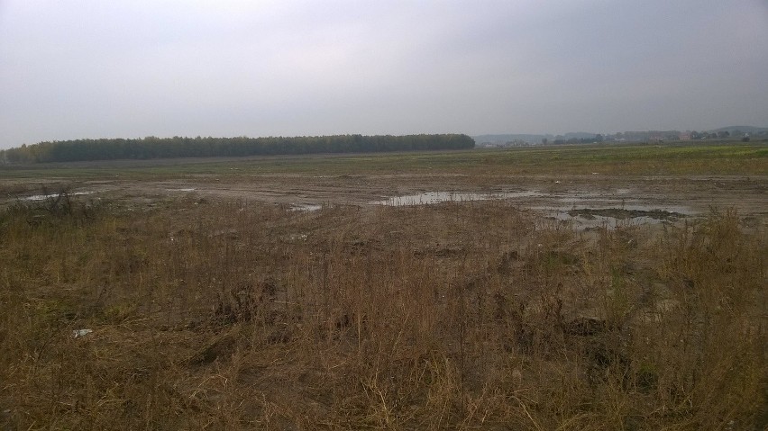 Stacja PKM Gdańsk Rębiechowo. Jest jeszcze wiele do...