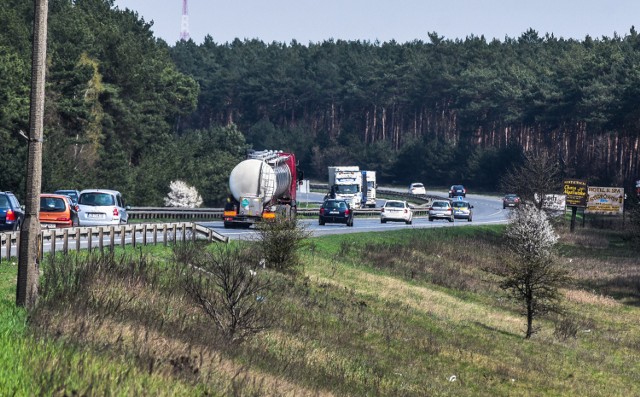 Przez Aleję Armii Krajowej przebiegają dzikie zwierzęta. Dla niektórych taka wycieczka kończy się pod kołami pędzących samochodów. Problem rozwiązałoby zamontowanie specjalnych siatek