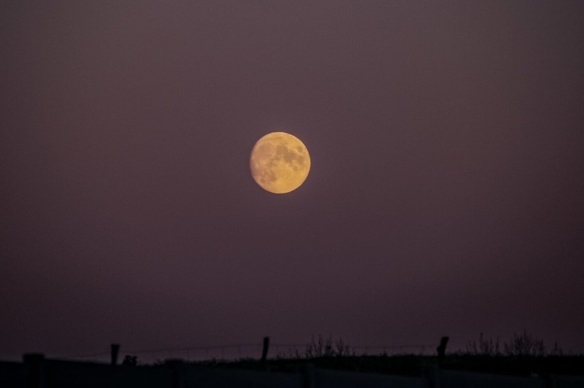 Słoneczne halo i niesamowity księżyc na Kaszubach! Zobaczcie te zdjęcia [GALERIA]