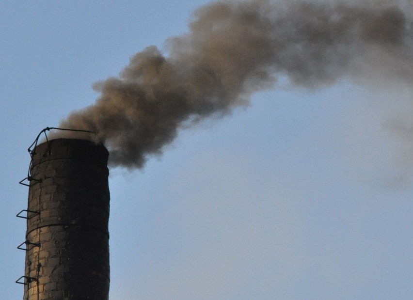 Na walkę ze smogiem przeznaczone zostaną w tym roku w...