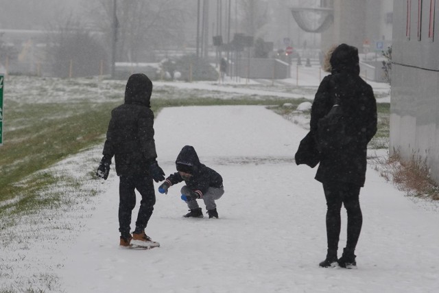 Z prognoz wynika, że Poznań ominą na razie intensywne opady śniegu. Muszą się z nimi liczyć mieszkańcy części południowej i wschodniej Wielkopolski