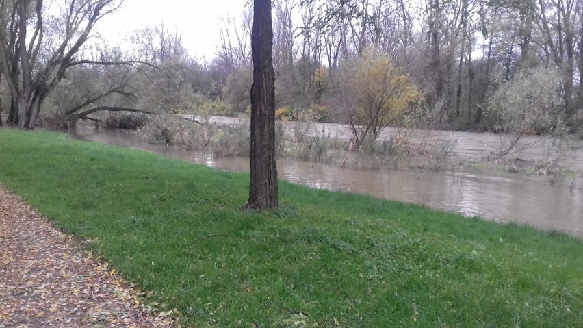 Stany ostrzegawcze na rzekach Małopolski