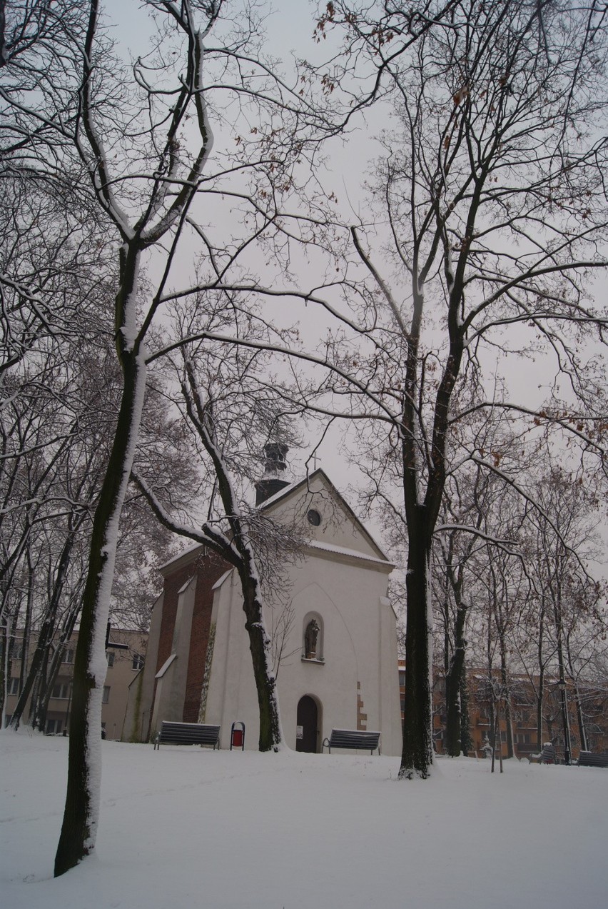 Rybnik pod grubą kołdrą śniegu